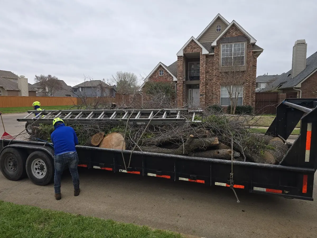 Expert Tree Fertilization with proper safety equipment in Orangeburg